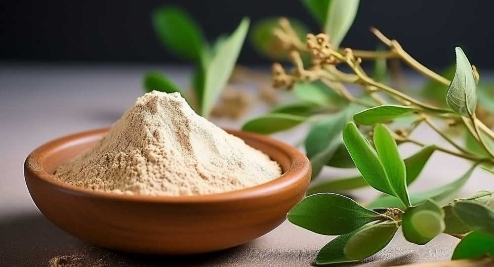 Del Blog - Los beneficios de Ashwagandha