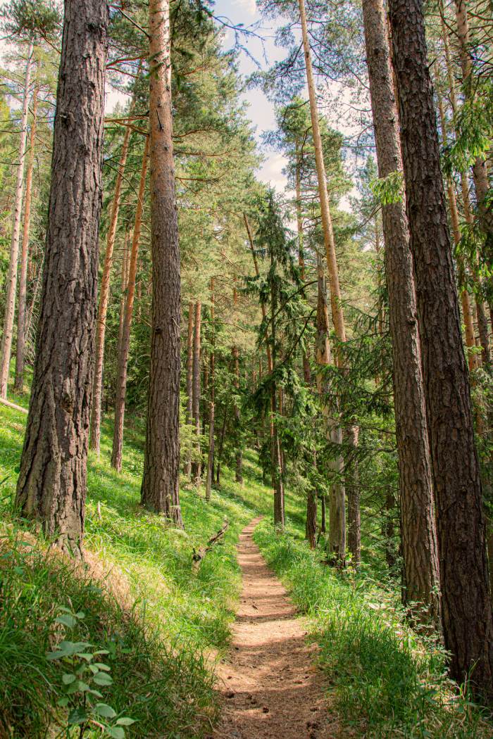 Nosso caminho para a sustentabilidade